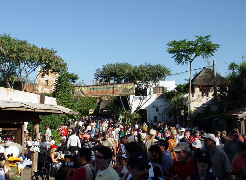 DSC01117
