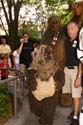 Star-Wars-Weekendsimg_6992