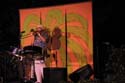 DSC01013a