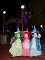 DSC01037