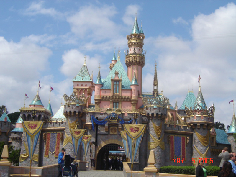 Sleeping Beauty Castle-8