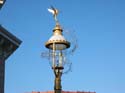 11450IMG_8056