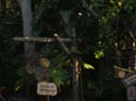 11450IMG_8065