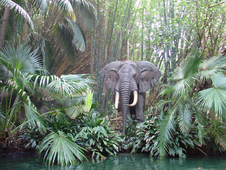 Adventureland - Jungle Cruise 06