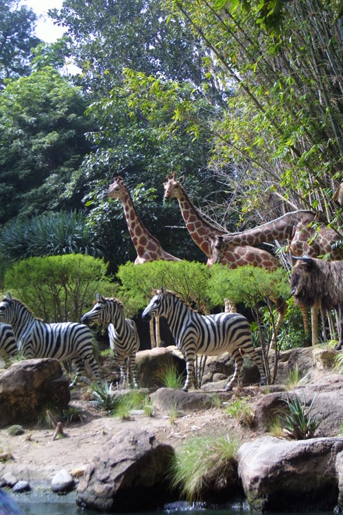 Adventureland - Jungle Cruise 10