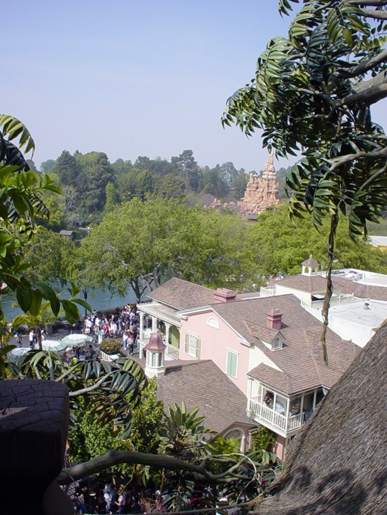 Adventureland - Tarzan Treehouse 02