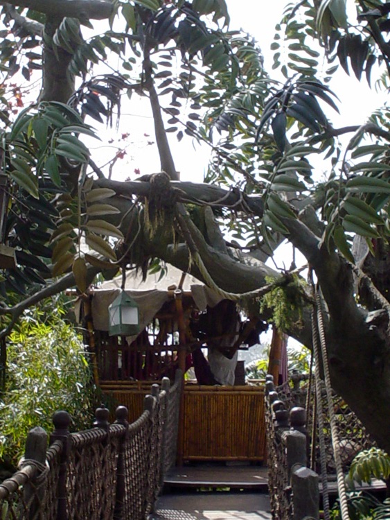 Adventureland - Tarzan Treehouse 03