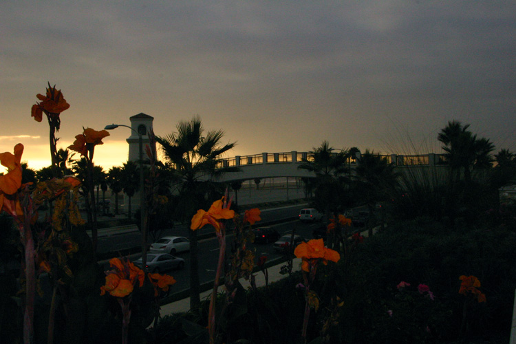 walkway to the beach 123