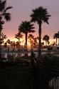 sunset  070