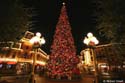 Disneyland  Christmas 2006 186Copy