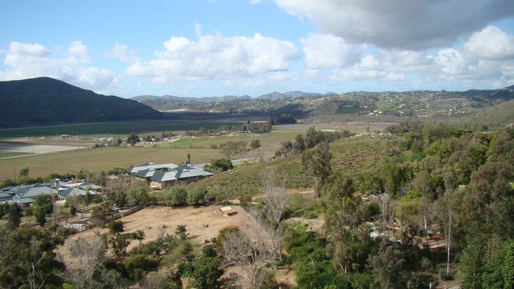 DSC02239