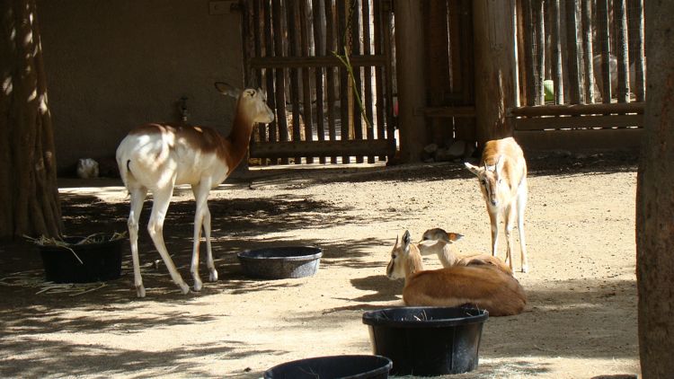 DSC02260