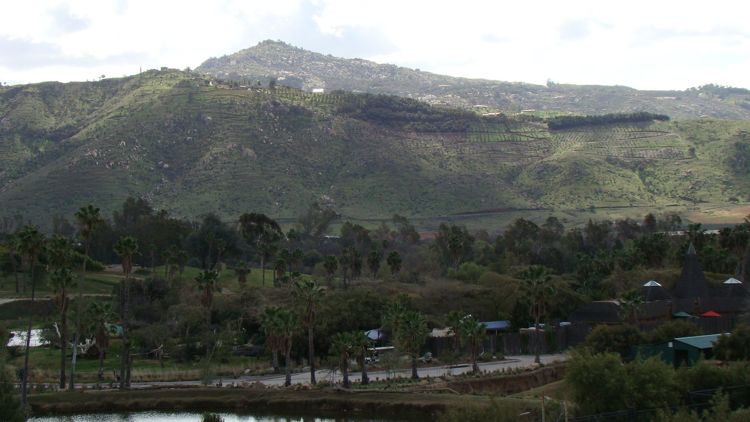 DSC02277