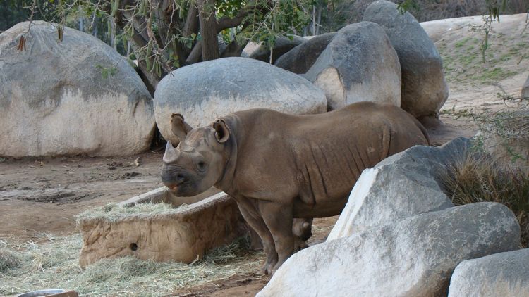 DSC02373