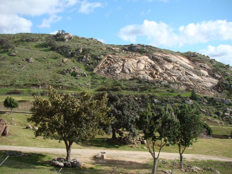 DSC02412