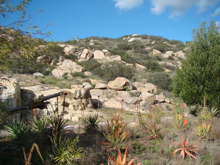 DSC02416