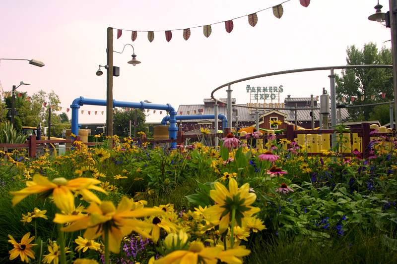 Bountiful Valley Farm_01
