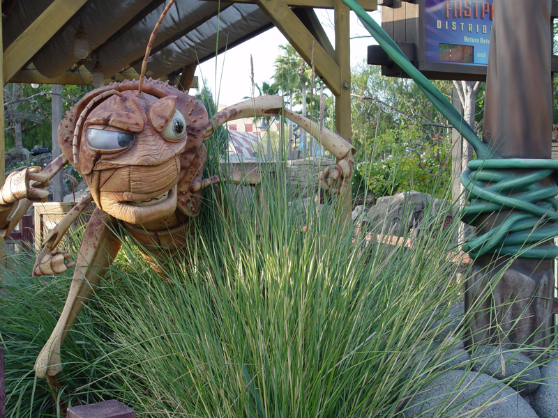 Bountiful Valley Farm_011
