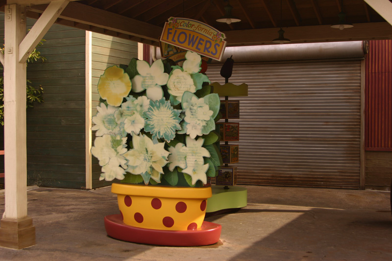 Bountiful Valley Farm_027