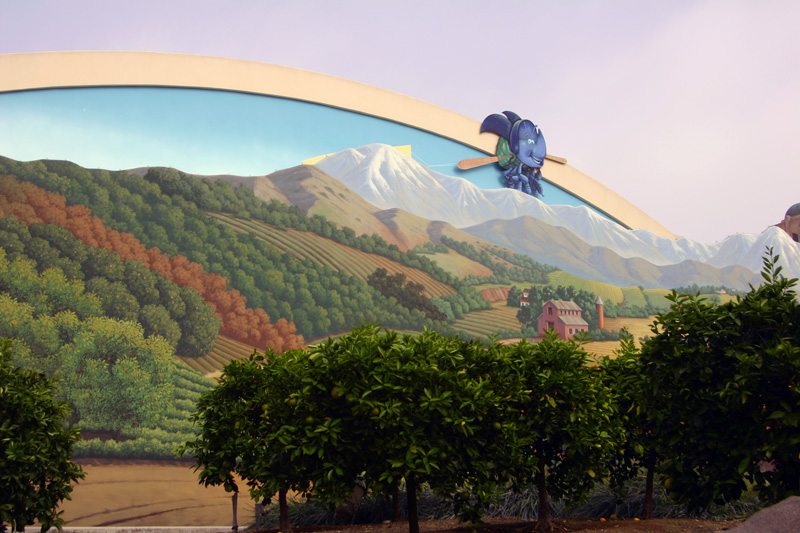Bountiful Valley Farm_031