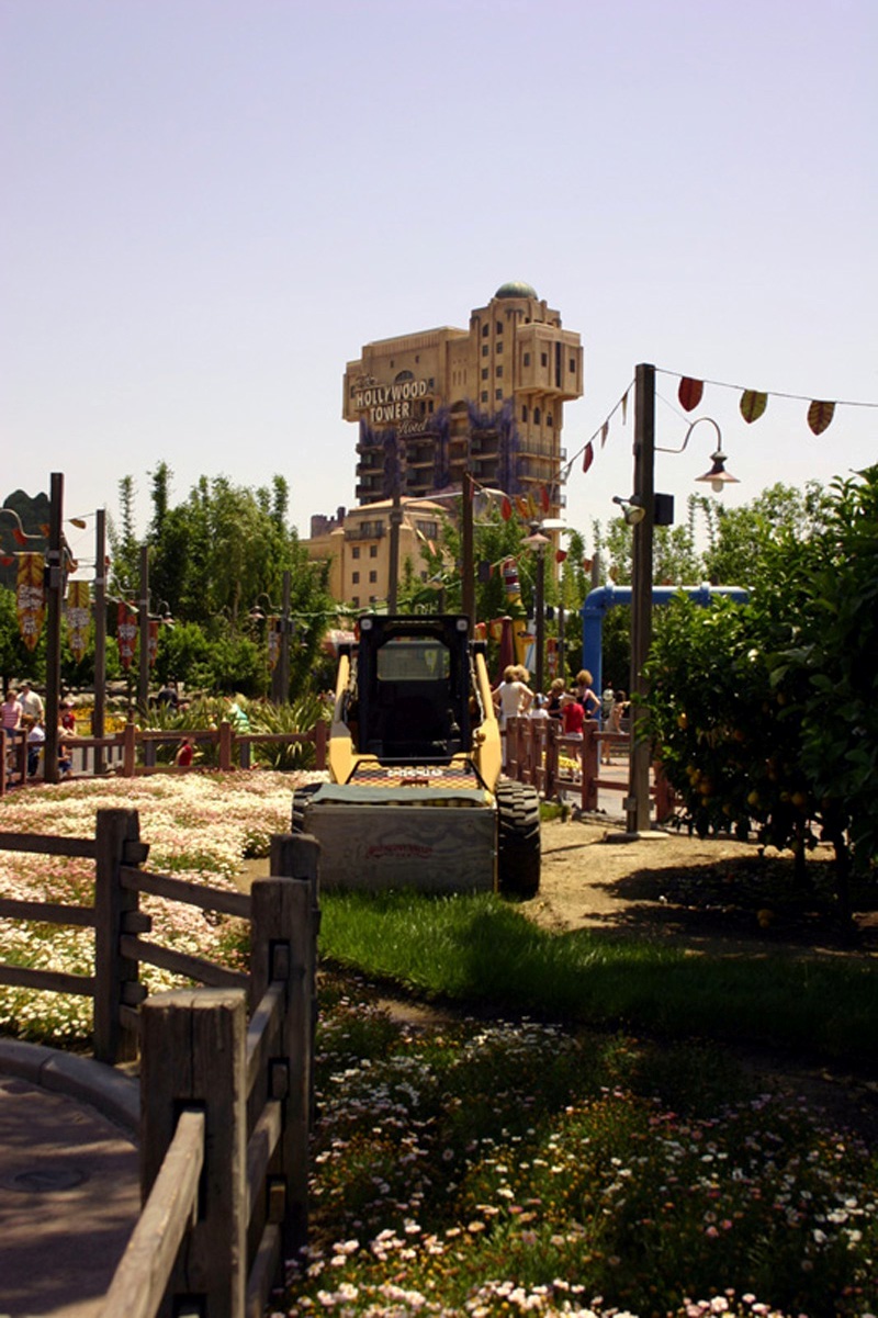 Bountiful Valley Farm_043