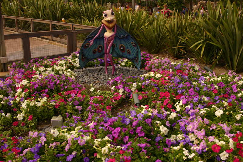 Bountiful Valley Farm_08b