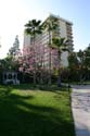 dlandhotel--032a