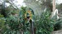 DSC01224