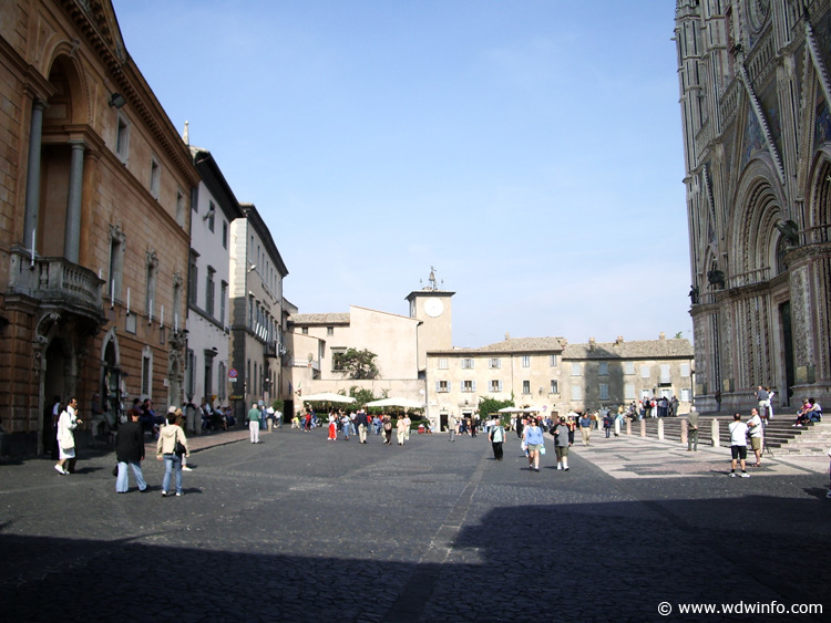 IMGP0850