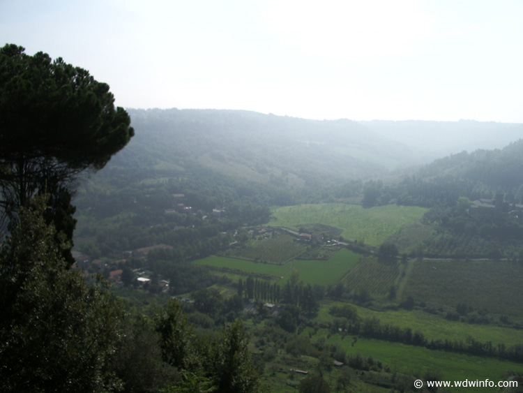 IMGP0853