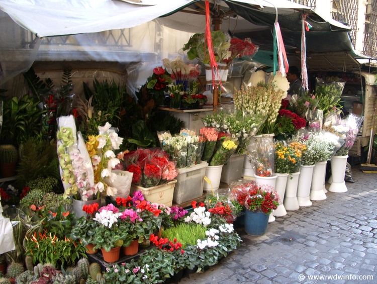 IMGP0771