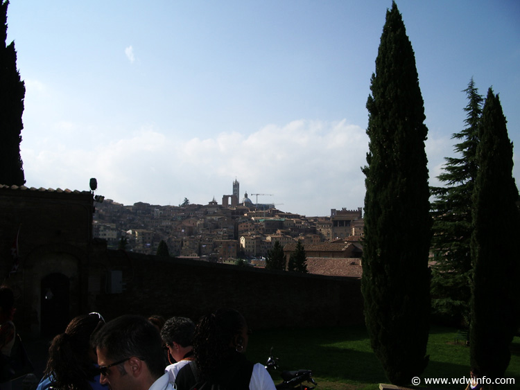 IMGP0905