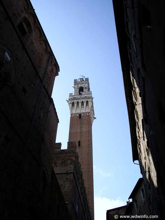 IMGP0914