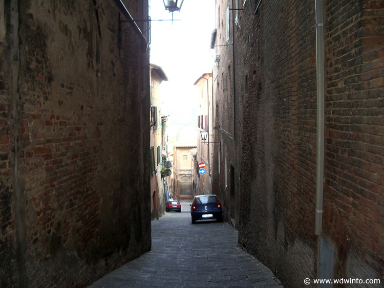 IMGP0920