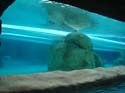 DSC06901