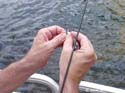 Fishing-18