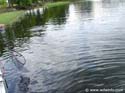 Fishing-19