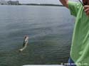 Fishing-22
