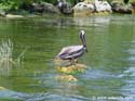 Fishing-55