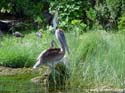 Fishing-56