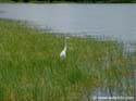 Fishing-57