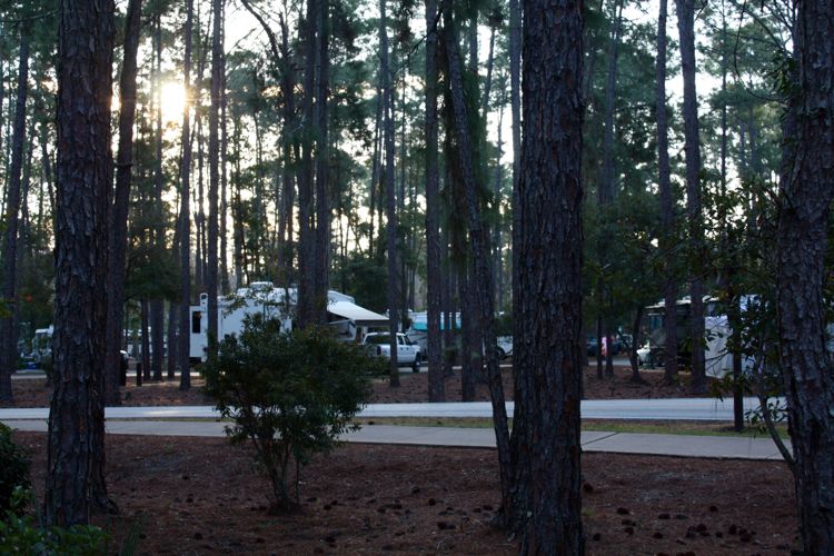 Ft-Wilderness-12