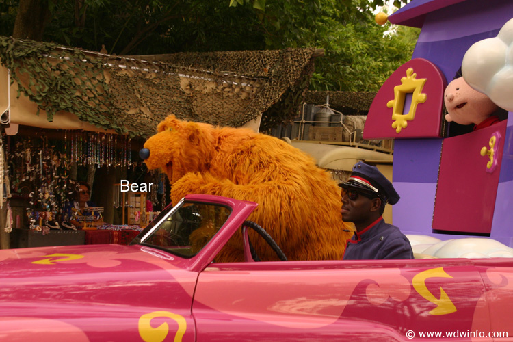 45_Bear Close-up
