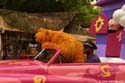 45_Bear Close-up