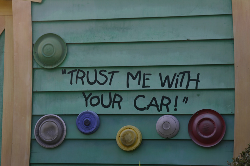 Mickey's-Toontown-FairIMG_2592a