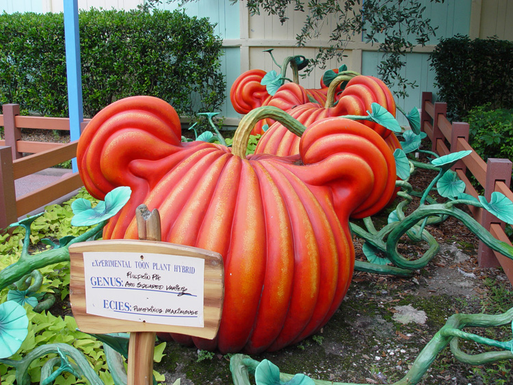 Mickeys- Country-House-10