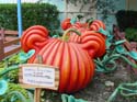 Mickeys- Country-House-10