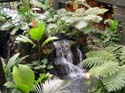 DSC02360