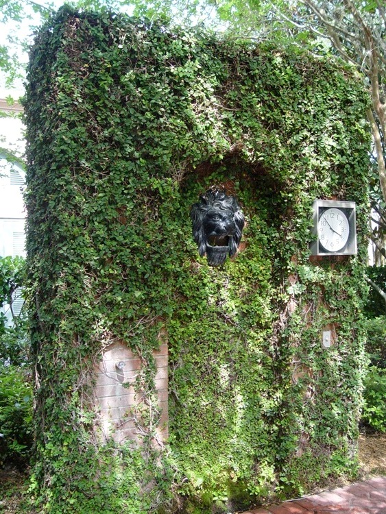 DSC07098
