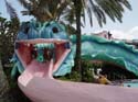 DSC07077
